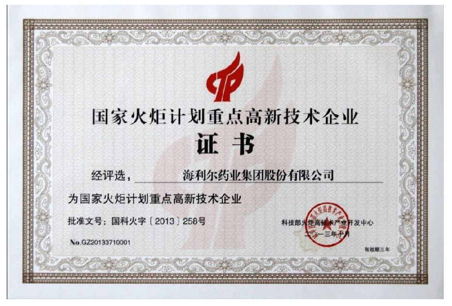 國家火炬計劃重點高新技術企業(yè).png
