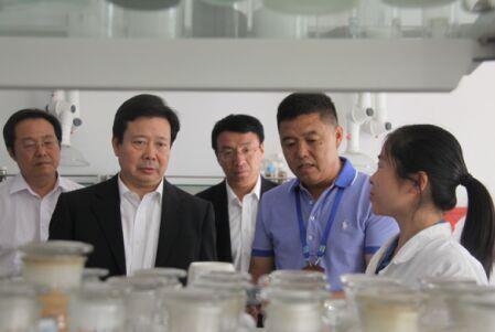 加大創(chuàng)新力度 運用互聯(lián)網(wǎng)開拓市場 提升企業(yè)核心競爭力 ——山東省委常委、青島市委書記李群蒞臨海利爾考察