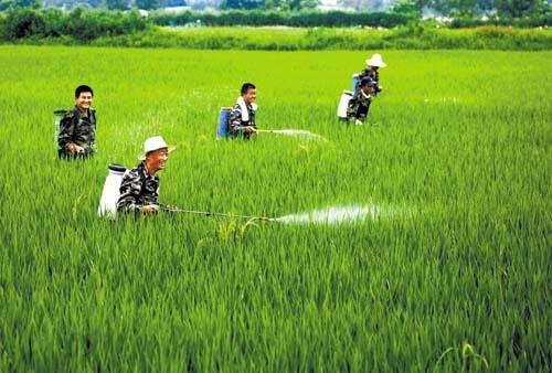農(nóng)資市場魚龍混雜，抗性真的有宣傳的那么嚴重嗎？
