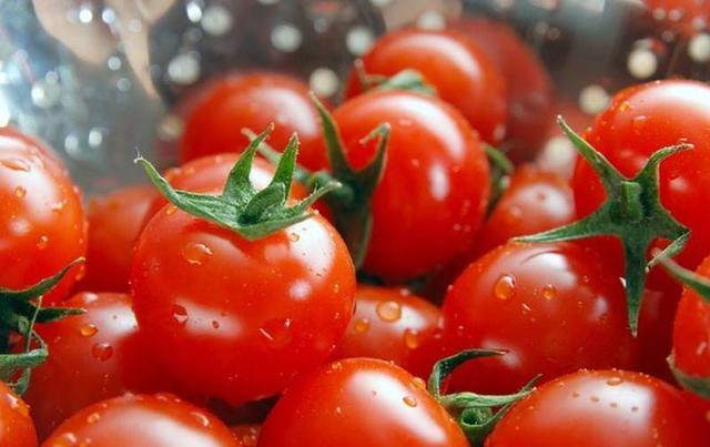 西紅柿、煙草青枯病最新研究發(fā)現(xiàn)“靶向療法”