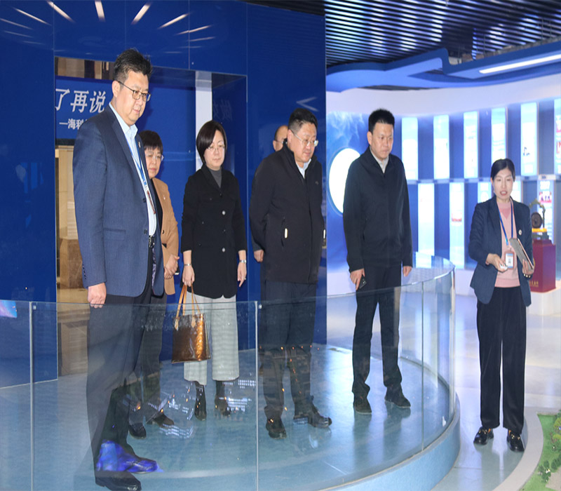 青島市民營經(jīng)濟發(fā)展局郭局長一行來集團調(diào)研指導